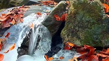 Clear river