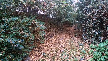 Non mais j'ais quand même eu peur.