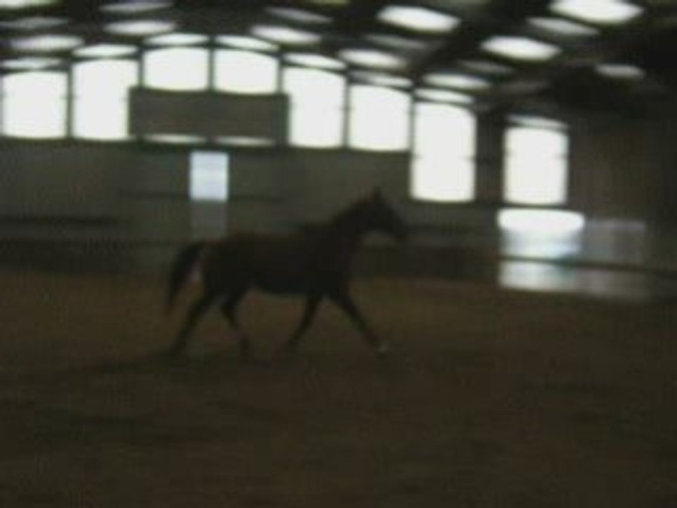 Liberté 17-03-08