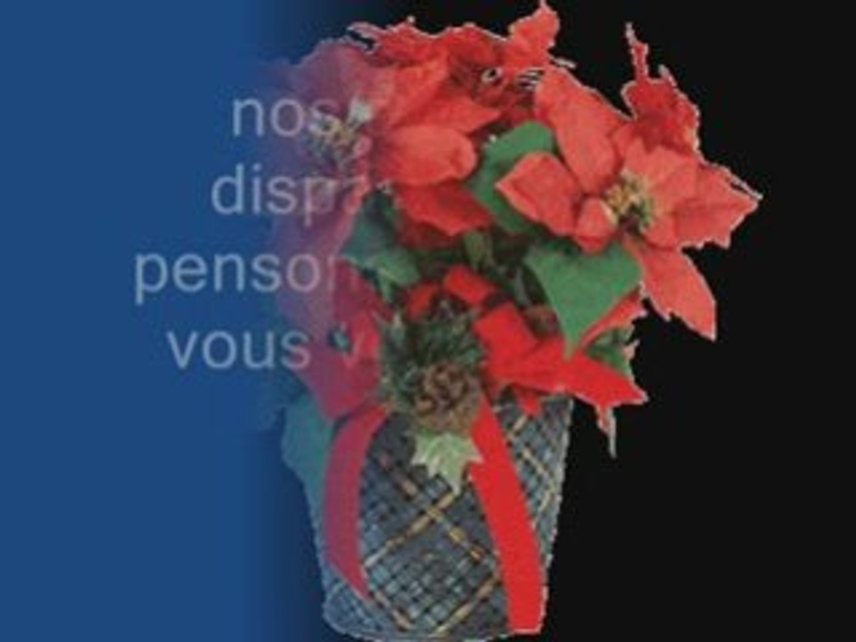 Hommage a nos animaux