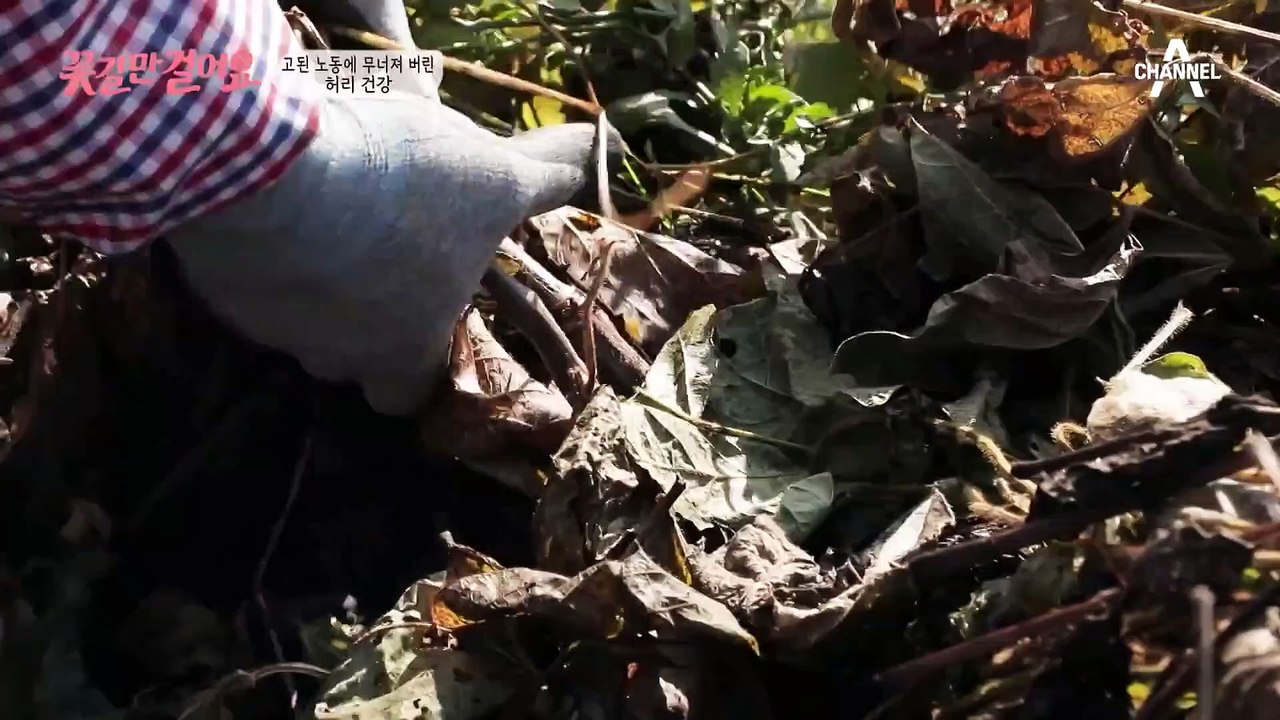 해지고 나서야 겨우 눕는 어머니.. 심각해 보이는 어머니의 건강 상태