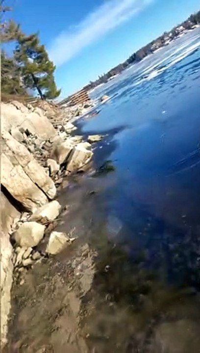 Rescuing a Deer Trapped on a Frozen River