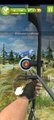 Archery master 3d shot