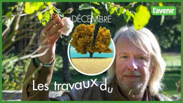 Jardin - Les rosiers