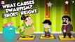 What Causes Dwarfism? | Growth Disorder | The Dr Binocs Show | Peekaboo Kidz