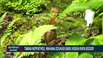 Kebun Raya Bogor Buka Wahana Edukasi Taman Nepenthes