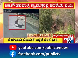 Leopard Scare Grips People Of Chikkagowdana Palya | Public TV