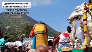 TIRUVANNAMALAI KARTHIGAI DEEPAM 6TH DAY FESTIVAL 2022