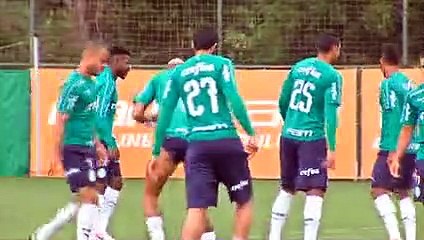Confira imagens do treino do Palmeiras