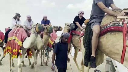 ◤2022卡塔尔世界杯◢ 摩洛哥球迷抢机票飞卡塔尔(2)