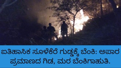 ಐತಿಹಾಸಿಕ ಗುಡ್ಡಕ್ಕೆ ಬೆಂಕಿ ಇಟ್ಟ ಕಿಡಿಗೇಡಿಗಳು...!