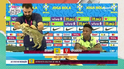 ¡No quiero ver gatos! - Almohadazo Casero