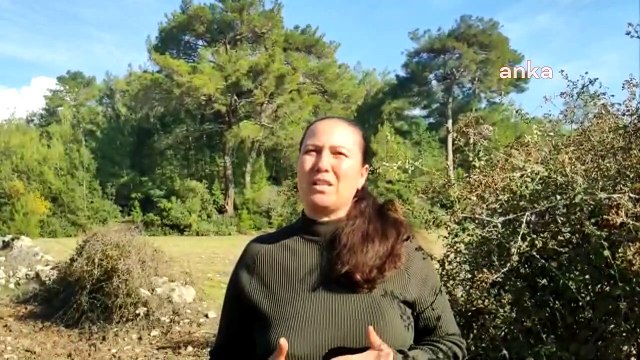 Muğla’da Akbelen ormanı davasında ‘yürütmeyi durdurma’ kararı kaldırıldı, çevreciler tepkili: Bu baskılar bizi yıldıramaz