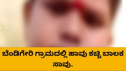 ಬೆಳಗಾವಿ : ಬೆಂಡಿಗೇರಿ ಗ್ರಾಮದಲ್ಲಿ ಹಾವು ಕಚ್ಚಿ ಬಾಲಕ ಸಾವು