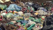 Thosuands of experts take their first steps towards creating a global plastic pollution treaty