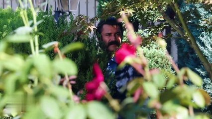 مسلسل bry8 alaml بريق الامل الحلقة 152