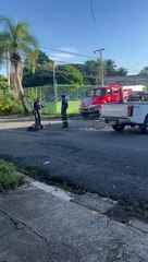 Bomberos rescatan perro de alcantarilla