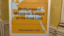 Bakan Krişci, Gıda Krizine İlişkin Akdeniz Bakanlar Diyaloğu Toplantısı'na katıldı