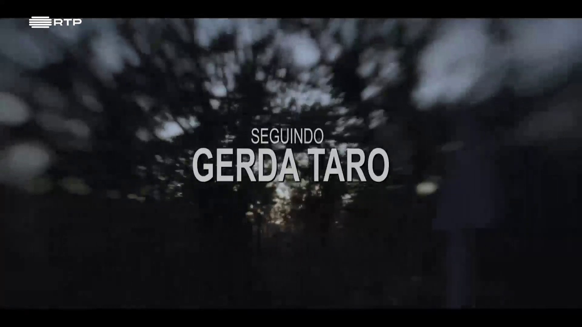 Seguindo Gerda Taro