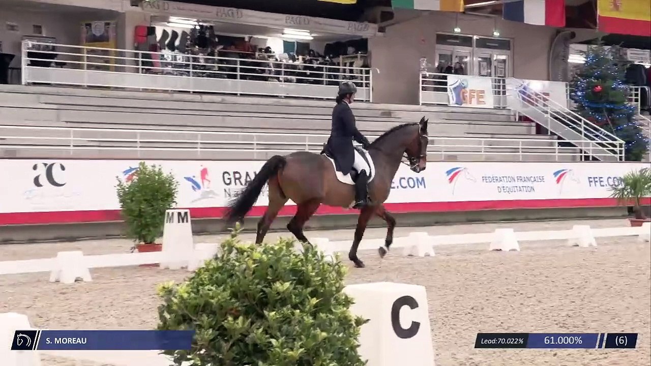 Grand National FFE - AC Print - Finale | Saint-Lô (FRA) | Sophia MOREAU | ENIGMATIC W