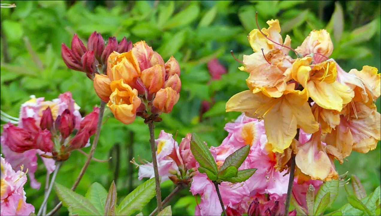 Une visite au Parc naturel Boutiguéry