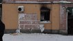 Rubata un'opera di Banksy a Kiev. La polizia arresta otto persone