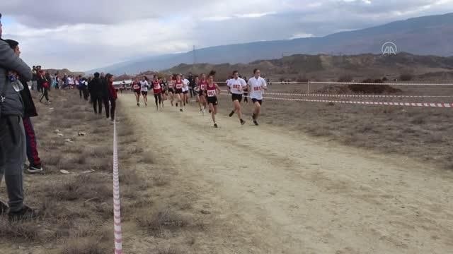 KASTAMONU - Tosya'da Bölgesel Kros Ligi Yarı Final Yarışmaları düzenlendi