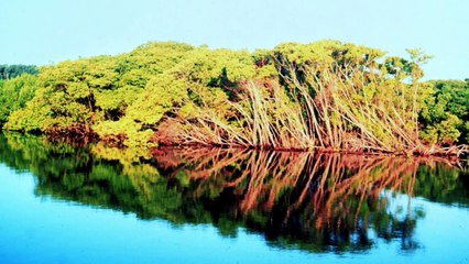 Reflections.