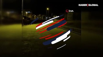 Erzurum Aşkale'de aç kalan domuzlar, şehir merkezine indi! O anlar kamerada...