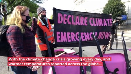 These Stars Are Big Climate Activists