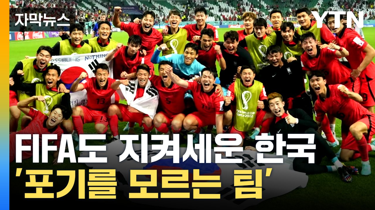 [자막뉴스] '드라마 축구' 전문 한국, 브라질 상대로 더 큰 기적 준비! / YTN