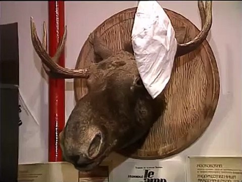 День рождения актера театра и кино Владимира Машкова. 1994 год