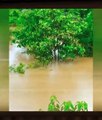 Santa Catarina Brazil - Flash Floods & Landslides on November 2, 2022