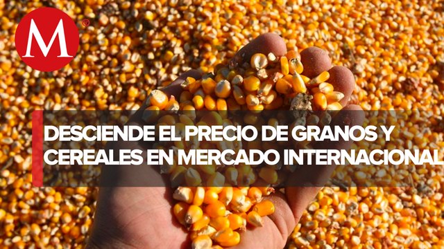 Precios de granos y cereales descendieron en el mes de noviembre