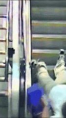 Spelling Practice. Clip No. 55