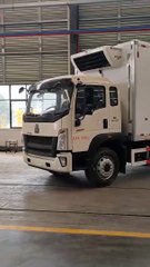 Chinamade day old chick transported truck_5