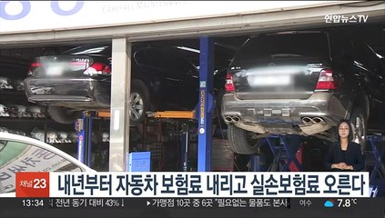 내년부터 자동차 보험료 내리고 실손보험료 오른다