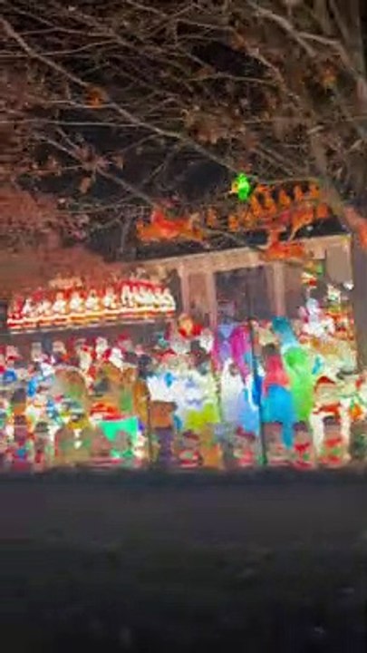 This House Really Loves Christmas Decorations