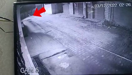 रात में बेखौफ सड़क पर घूमता है तेंदुआ, वीडियो देख हो जाएंगे हैरान