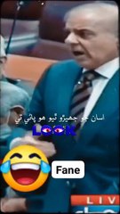 Most funny.tik tok _video.