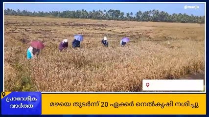 കൊയ്ത്തുയന്ത്രം താഴ്ന്നു; വെച്ചൂര്‍ പാടത്ത് കണ്ണീര്‍കൊയ്ത്ത്‌