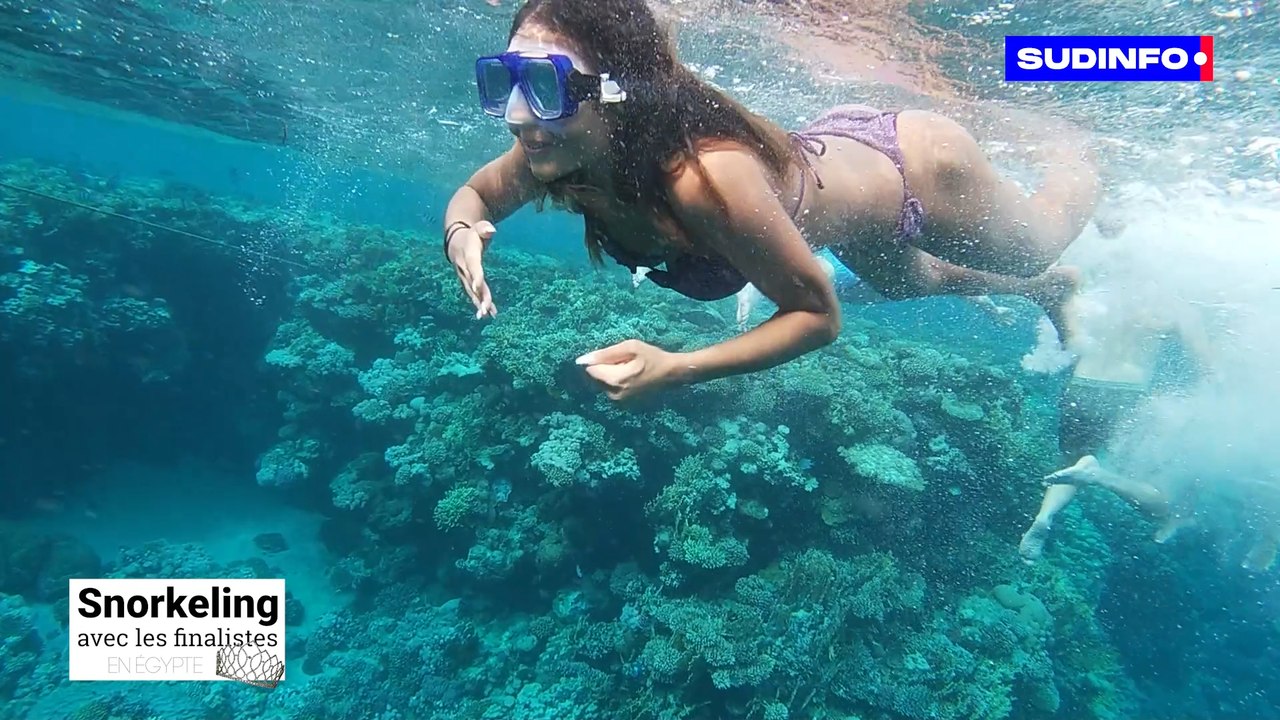 On a fait du snorkeling avec les finalistes de Miss Belgique en Egypte!