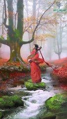 Relaxing Guitar Sounds in Autumn Forest || Water Sounds  • Stream • Trees • Fog || #Shorts #LetsRelax