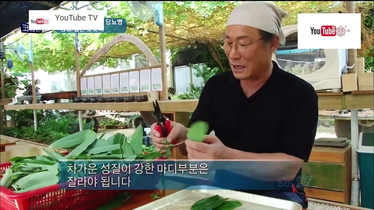 ความลับแห่งเอเชีย ชุด Korea Hunter ตอน ยารักษาโรคเบาหวาน