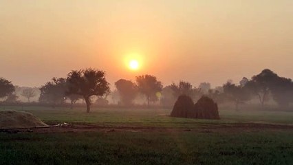 जमने लगा माउंटआबू, पारा शून्य डिग्री सेल्सियस