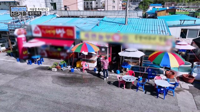 인기 폭발! 대게 집 앞에서 급 팬미팅 개최☺️ TV CHOSUN 221204 방송