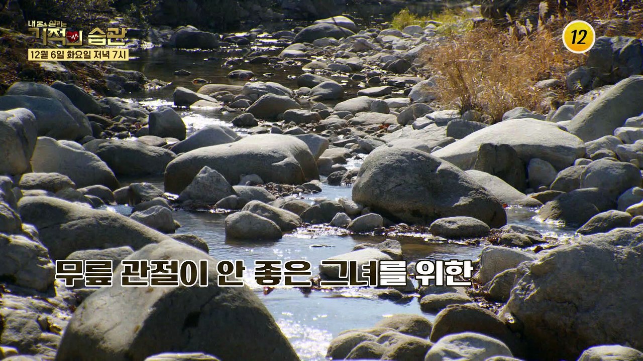 최선자와 함께하는 자연 힐링 라이프! 기적의 습관에서 함께 즐겨요~_기적의 습관 15...