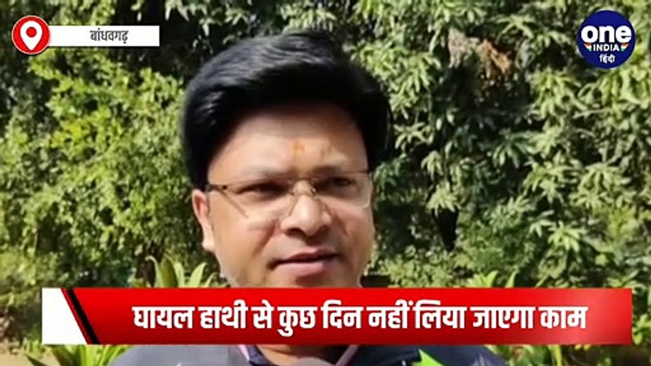 Bandhavgarh : बांधवगढ़ टाइगर रिजर्व के पालतू सू...
