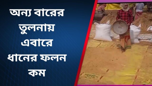 হুগলি: ধানের ফলন কম, মাথায় হাত চাষীদের