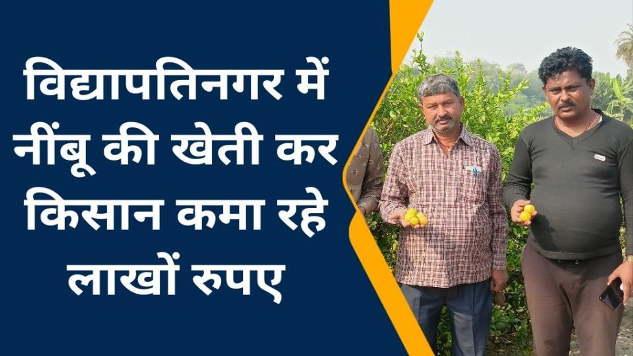 समस्तीपुर: नींबू की खेती से बदली किसान की किस्मत, हर साल होती है लाखों की कमाई